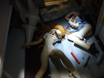 ayanami87.jpg