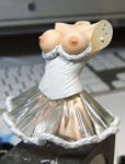 ci_caprice40.jpg